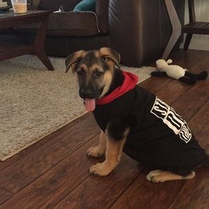 Meet your Posher, Noelle